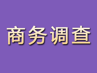 龙山商务调查